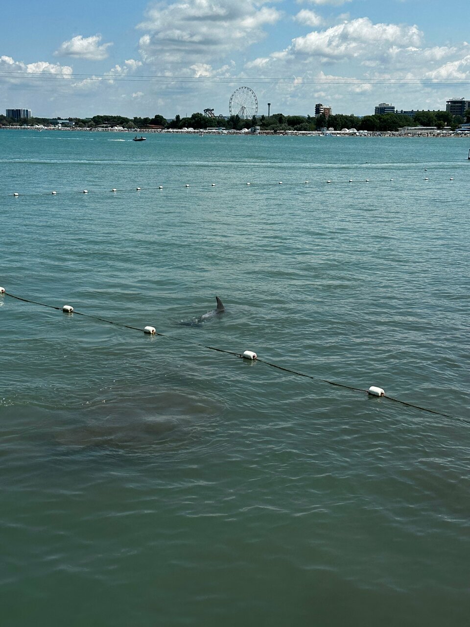 Гостиница Капитан Анапа-133