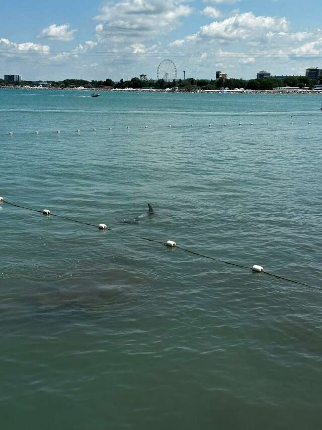 Гостиница Капитан Анапа-132